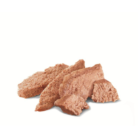 Royal Canin Persian Adult – Hrană Umedă Pate pentru Pisici – 85 g